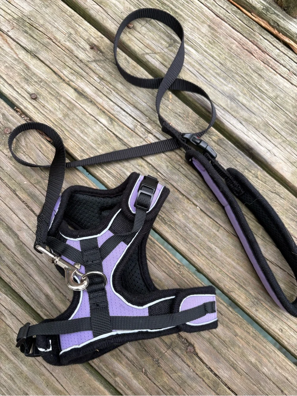 Angel Lavender Padded Harness and Leash Set for Small Pets